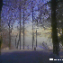 images/Desktop/winter_chiemsee.jpg
